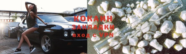 индика Беломорск
