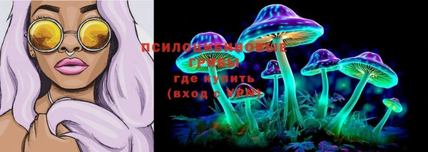 индика Беломорск