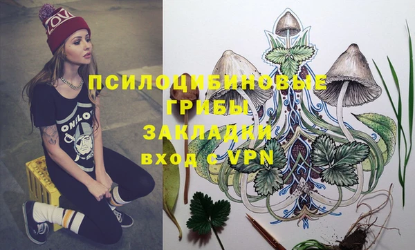 индика Беломорск