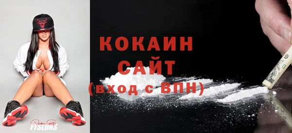 ешки Тавда