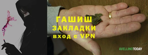 индика Беломорск