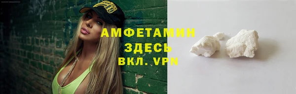 индика Беломорск
