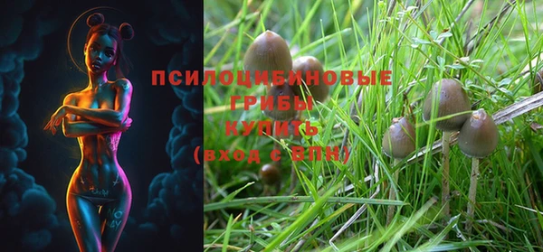 не бодяженный Белокуриха