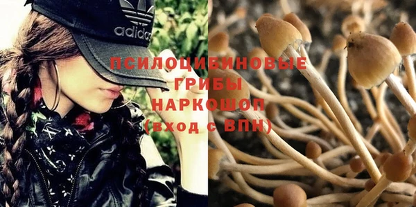 не бодяженный Белокуриха