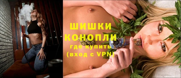 индика Беломорск