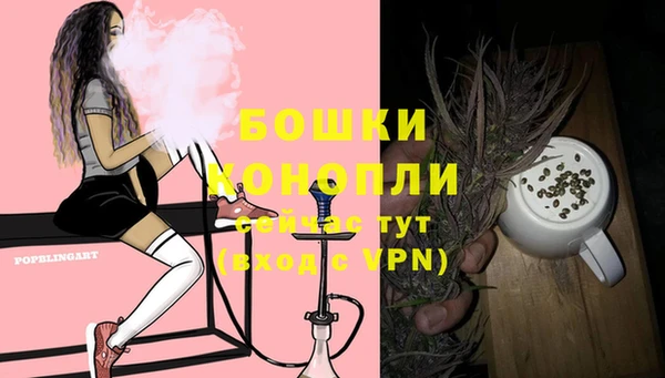 не бодяженный Белокуриха