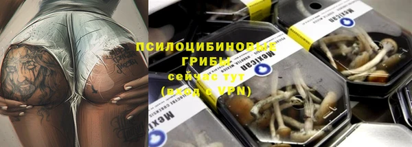 индика Беломорск